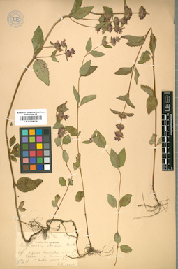 LE 01008219