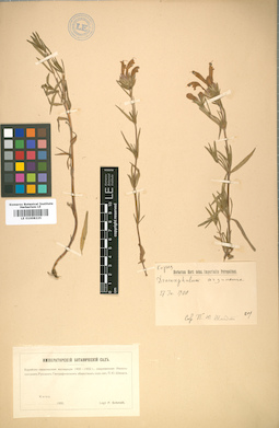 LE 01008225