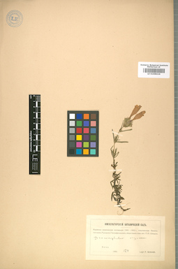 LE 01008226