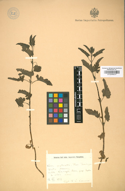 LE 01008227