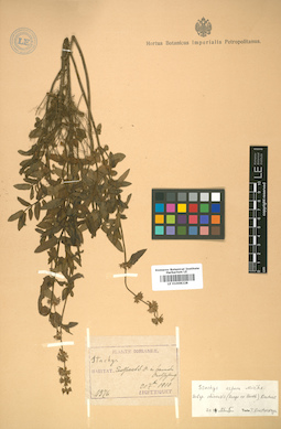 LE 01008228