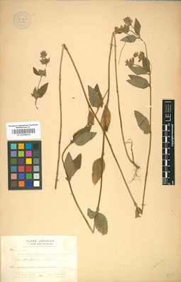 LE 01008232