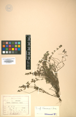 LE 01008234