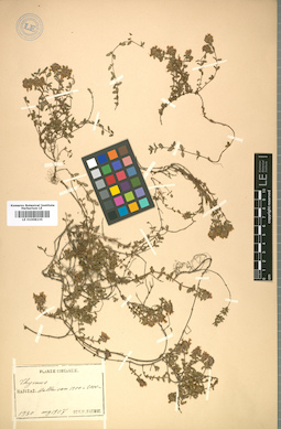 LE 01008235