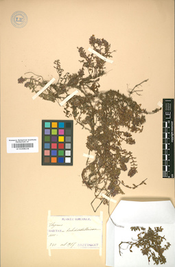 LE 01008236