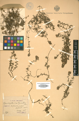 LE 01008237