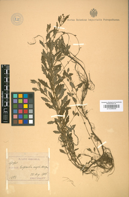 LE 01008240