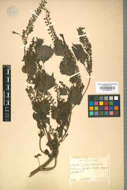 LE 01008249