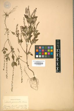 LE 01008250