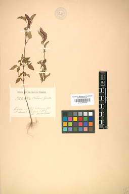 LE 01008259