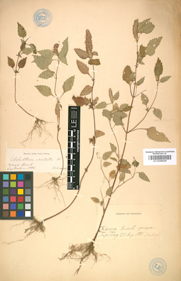 LE 01008260