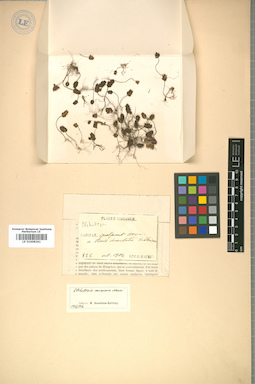 LE 01008261