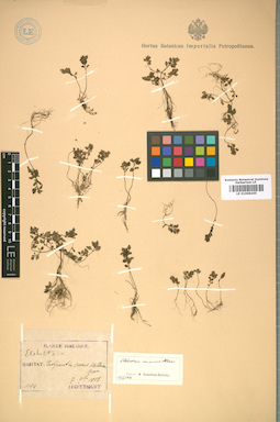 LE 01008265