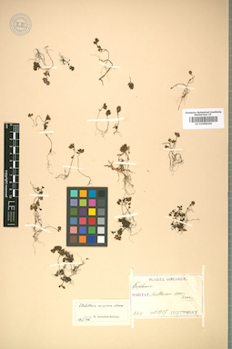 LE 01008266