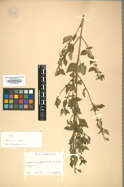 LE 01008269