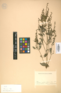 LE 01008271