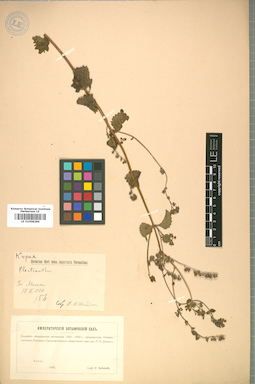 LE 01008286