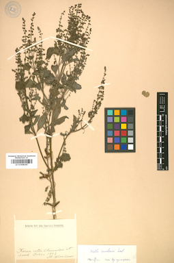 LE 01008287
