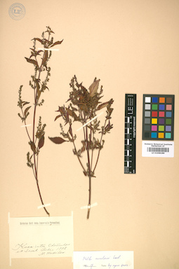 LE 01008288