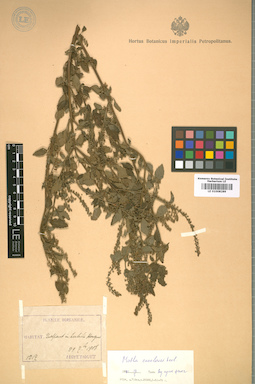LE 01008289