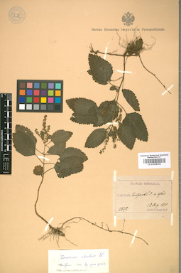 LE 01008292