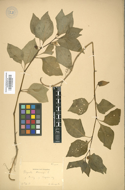 LE 01008298