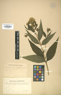 LE 01008305