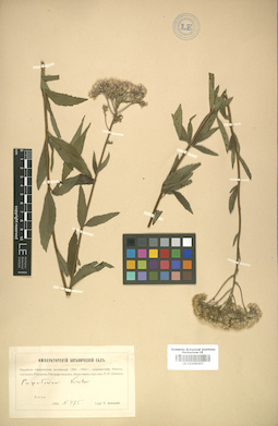 LE 01008307