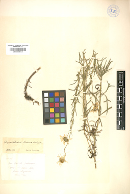 LE 01008316