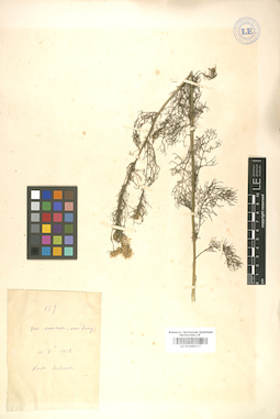 LE 01008317