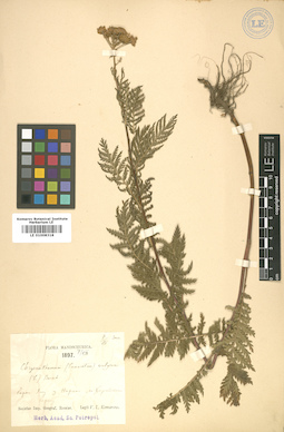 LE 01008318