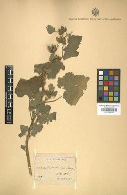 LE 01008325