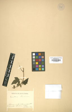 LE 01008327