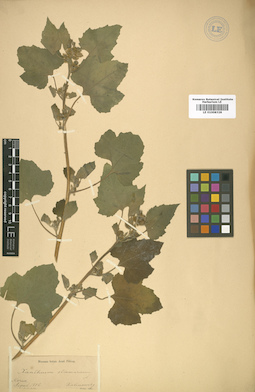 LE 01008328