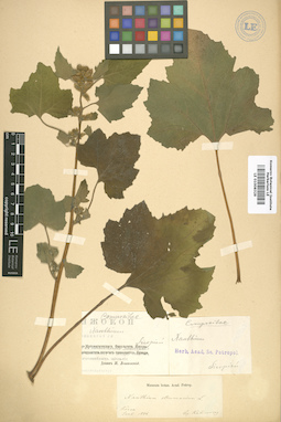 LE 01008329