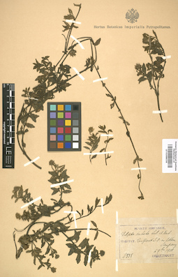 LE 01008336