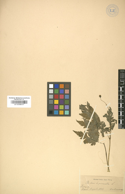LE 01008337