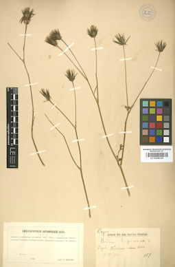LE 01008339