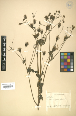LE 01008340