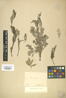 LE 01008358