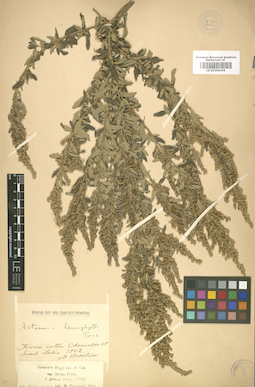 LE 01008359