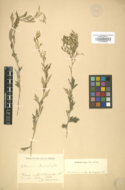 LE 01008361