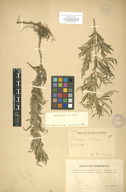 LE 01008362