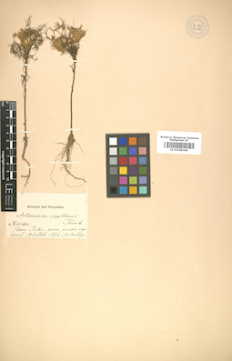 LE 01008364