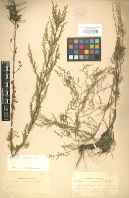 LE 01008365