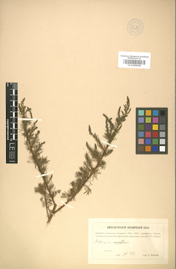 LE 01008366