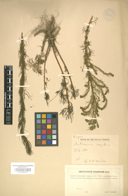 LE 01008367