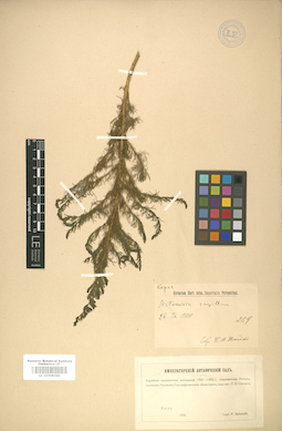 LE 01008368