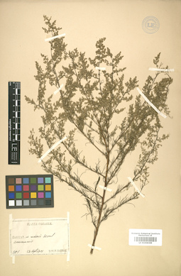 LE 01008369