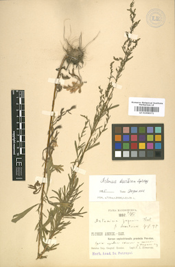 LE 01008371